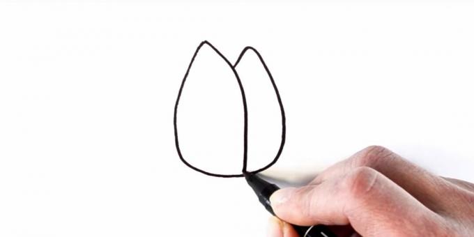 Kako nacrtati tulipan: ocrtajte latice
