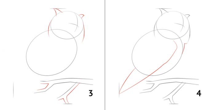 Kako nacrtati sovu
