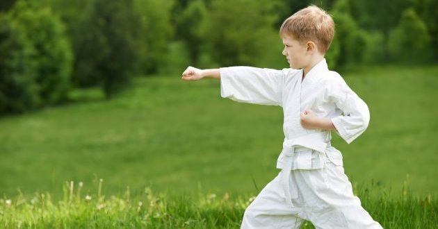sportskih klubova: Karate