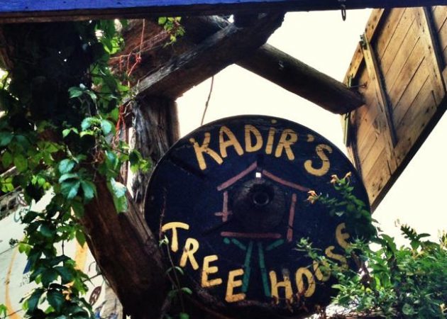 Kadir je Tree House 2