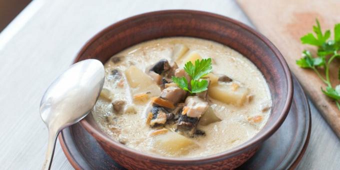 Pileća juha s gljivama i topljenim sirom
