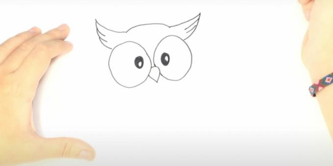 Kako nacrtati sovu: nacrtajte čupavce uha
