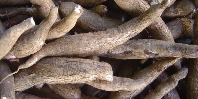Štetni proizvodi: manioka