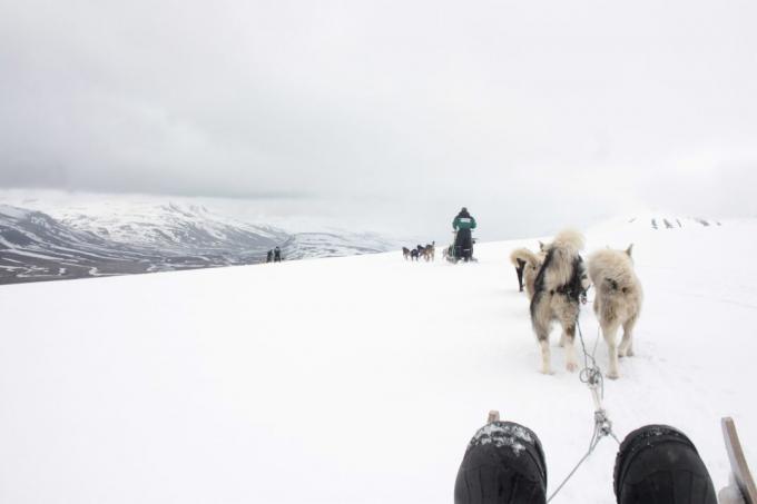 Svalbard