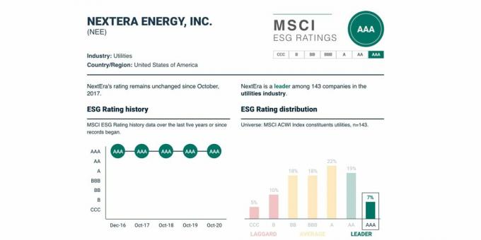 ESG ocjena i njezina dinamika za NextEra Energy, USD NEE, svibanj 2021.