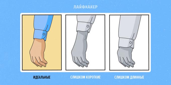Kako odabrati majicu: duljina rukava