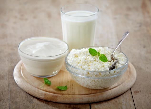 Tanak struk i low-fat mliječni proizvodi