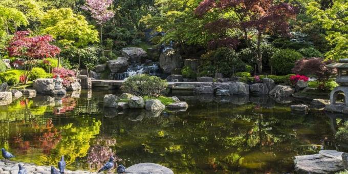 Što vidjeti u Londonu: japanski Kyoto Garden u Holland Parku