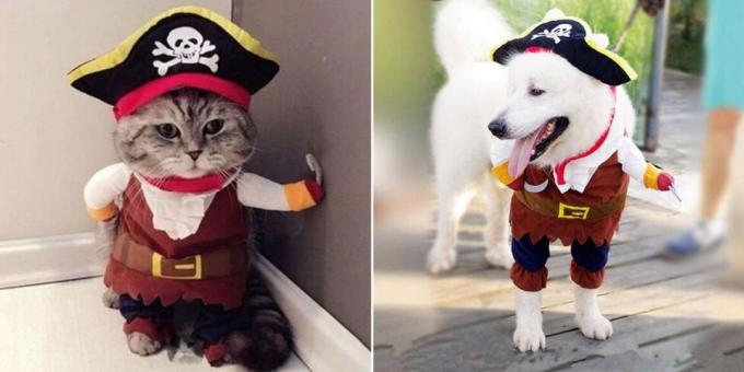 Božićni kostimi za pse i mačke: Fluffy Pirate