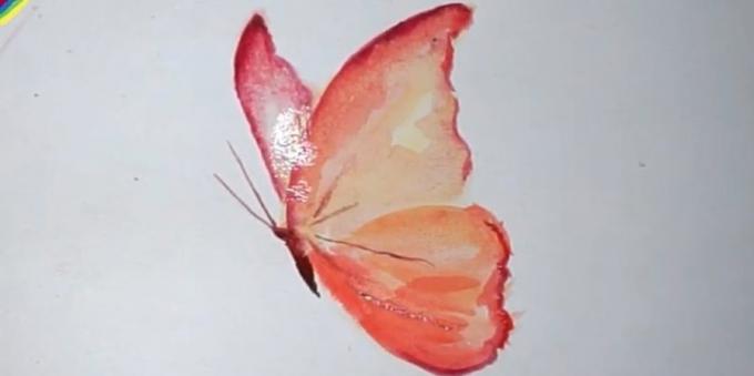 Kako nacrtati realan leptir boje