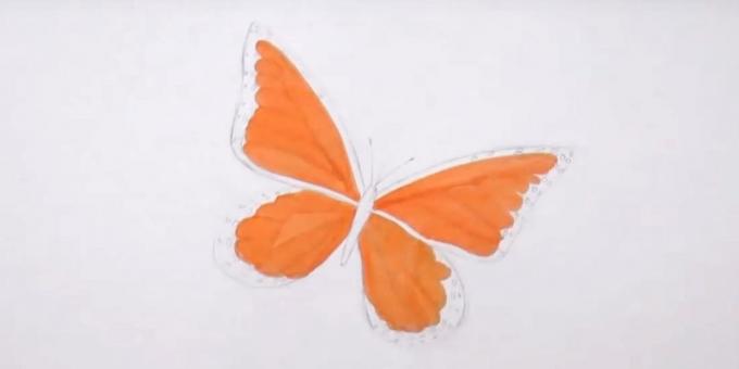 Nacrtati krugove na rubovima donjih krila i narančasti marker za označavanje detalja