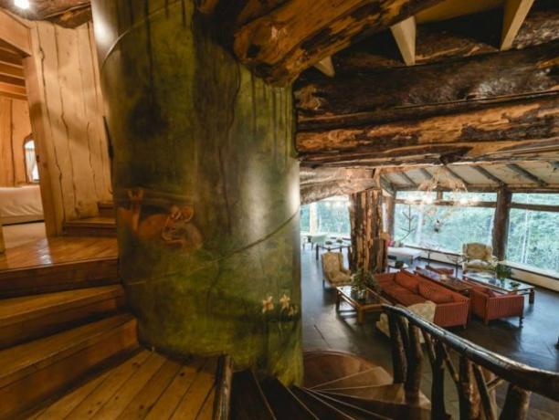 Hotel Magic Mountain Hotel je smješten u čileanskom zaštićenih šuma