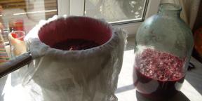 Kako napraviti vino od crvene, crne i bijele ribizle u kući