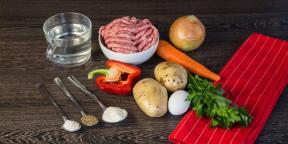 Kako kuhati mesne okruglice: 20 različite opcije