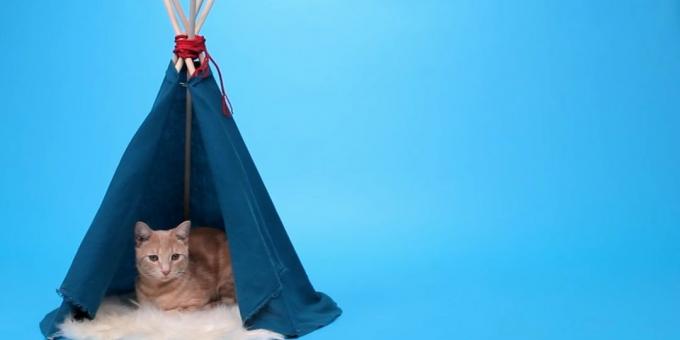 Kako napraviti kuću-šator za mačke tračnica i tkanina sa svojim rukama