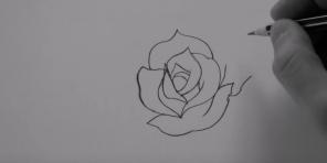 Kako nacrtati ružu od 20 različitih načina