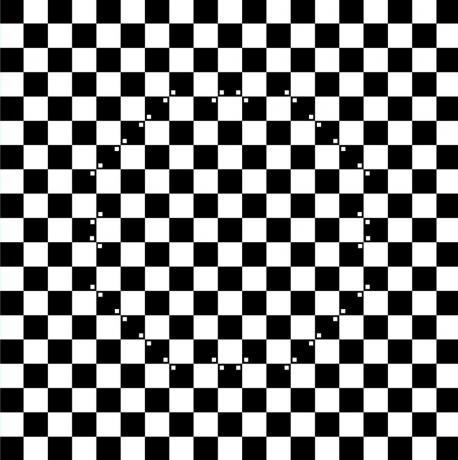 Optička iluzija. šahovska tabla