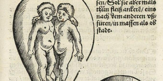 Djeca srednjeg vijeka: Blizanci u maternici, Euharij Rodion