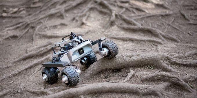 Kornjača Rover: izgled
