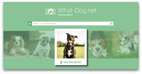 Fetch - inovacija iz Microsofta, koji će pokupiti vaš pas na fotografiji