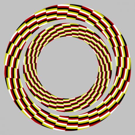 Optička iluzija: prsten