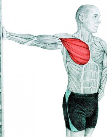 Anatomija istezanja: istezanje prsnih mišića u zidu