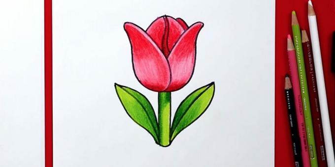 Kako nacrtati jedan jednostavan tulipan