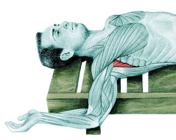 Anatomija istezanje: razvlačenjem rame
