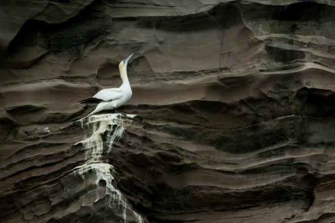 12 najljepših slika prirode na verziji Earth Science Week 2019