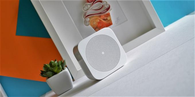 Xiaomi WiFi Online Radio: izgled