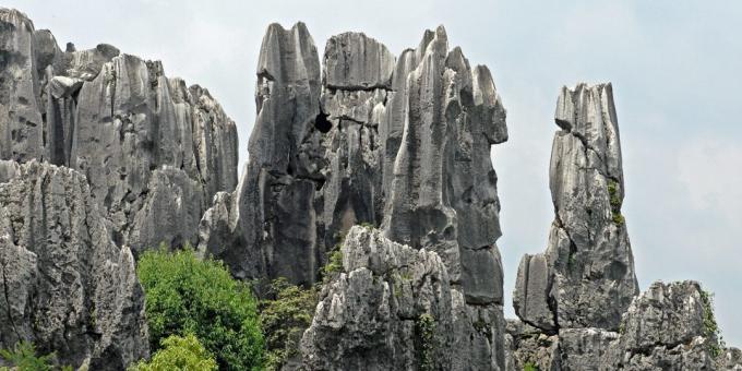 Azijski teritorija svjesno privlači turiste: Shilin Stone Forest, Kina