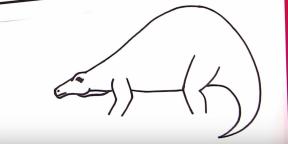30 načina crtanja različitih dinosaura