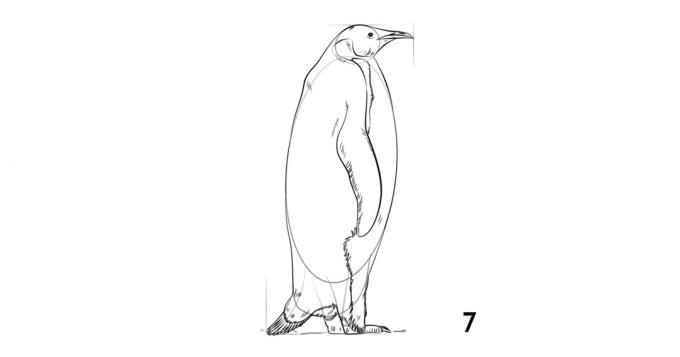 Kako nacrtati pingvina