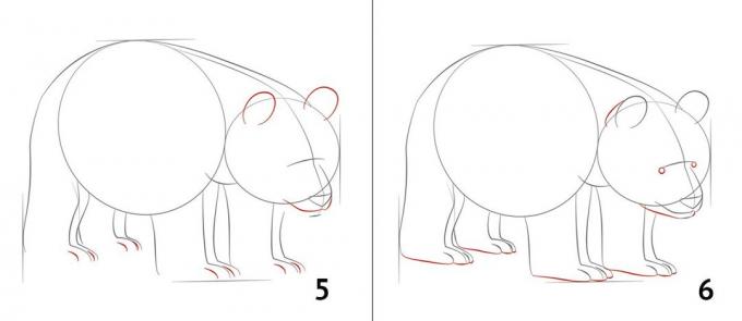 Kako nacrtati panda