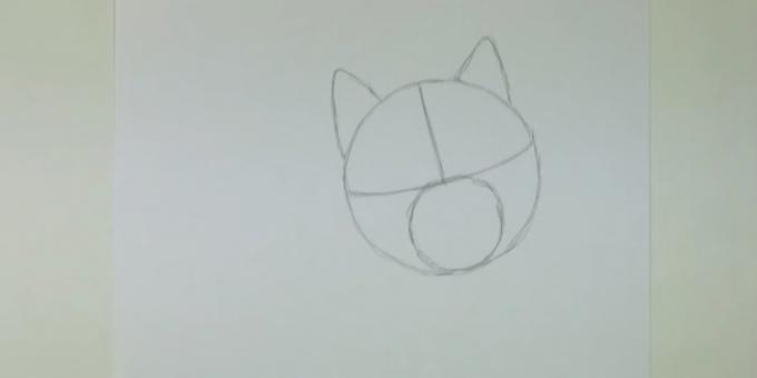 Nacrtati krug i označiti manje uši