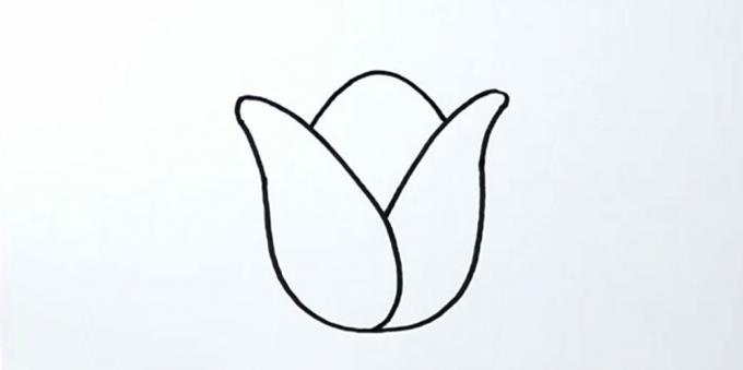 Kako nacrtati tulipan: ocrtajte središnju laticu