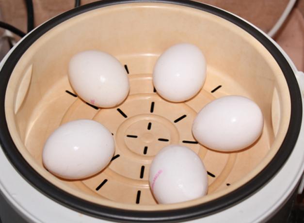 Kako kuhati jaja u dvokrevetnoj kotao ili multivarka