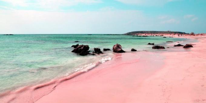 Nevjerojatno lijepo mjesto: ružičasta plaža na Sardiniji, Italija