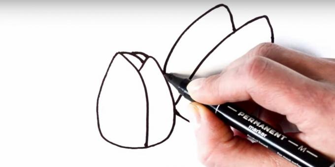 Kako nacrtati tulipan: dodajte lijevu laticu