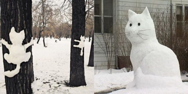 snijeg slika: Mačka