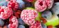 Kako zamrznuti bobičasto voće, voće i povrće: detaljan naputak
