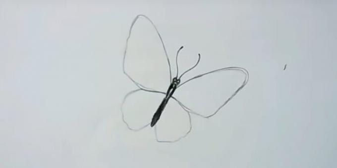 Kruže krila i nacrtati brkove leptir
