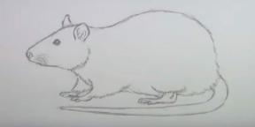 15 načina za crtanje miša ili štakora