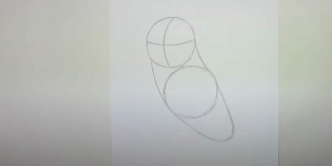 Kako nacrtati sovu: ocrtajte tijelo, prsa i vrat