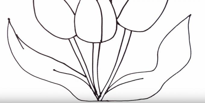 Kako nacrtati tulipan: prikazati lijevi list