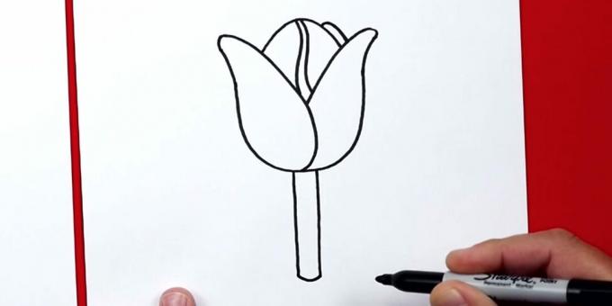 Kako nacrtati tulipan: dodajte stabljiku