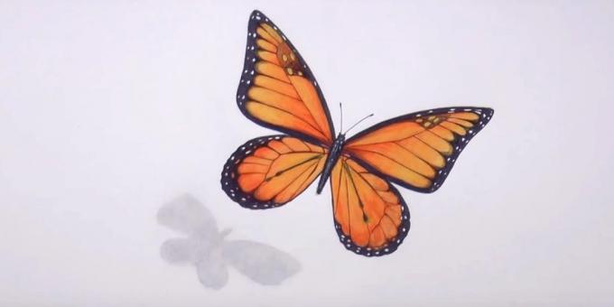 Brisanje olovka skice i crne boje ugađanje leptir uzorak