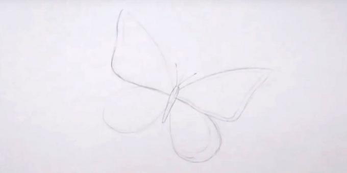 Draw tijelo, ticala i krila nacrtati granicu