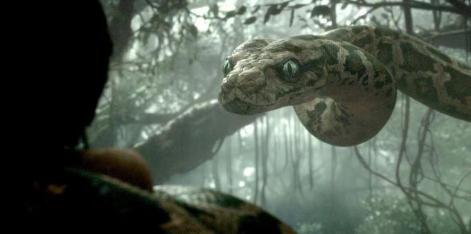 Snimak iz filma o zmijama "Knjiga o džungli"