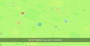 Pokémon Quest - Offline Pokémon u stilu „zida do zida”